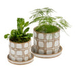 Planter Pot with Tray  - Indaba