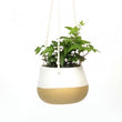 Hanging Pot White/Sandstone - BBL