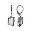 Sable French Back Earrings Crystal Stainless Steel