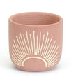 Sunburst Planter Pot  BBL ea