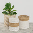 Plant Basket White/Natural  Ea